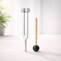 1x HealHz™ 128 Hz Healing Instrument (50% rabatt)