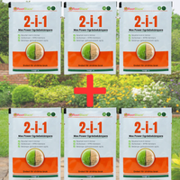 6x RootBlaze™ (3+3 GRATIS)
