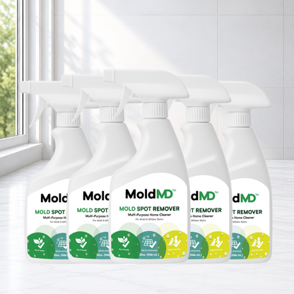 MoldMD™